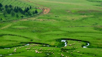 Arap turistlerin Karadeniz deki yatırımları giderek artıyor