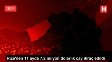 Rize den 11 ayda 7,2 milyon dolarlık çay ihraç edildi