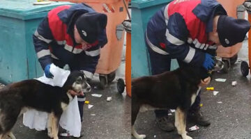 Temizlik işçisi yağmurdan ıslanan köpeği kuruladı, içleri ısıttı