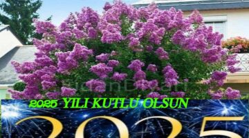 2025 YILI BAŞTA YÜCE “TÜRK MİLLETİ”OLMAK ÜZERE, İNSANLIK ALEMİNE KUTLU OLSUN