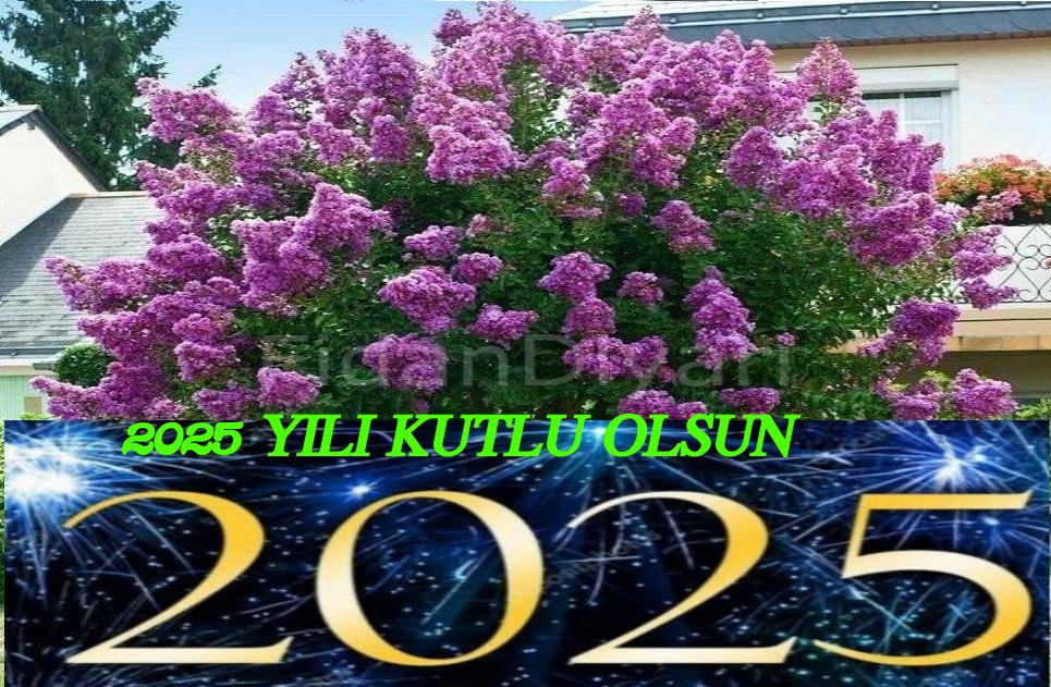 2025 YILI BAŞTA YÜCE “TÜRK MİLLETİ”OLMAK ÜZERE, İNSANLIK ALEMİNE KUTLU OLSUN